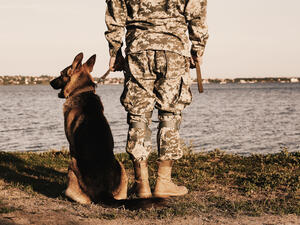 (Shutterstock/ File Photo)