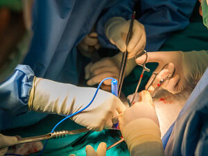 (Shutterstock/ File Photo)