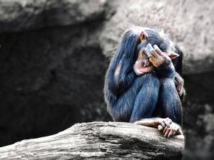 (Shutterstock/ File Photo)