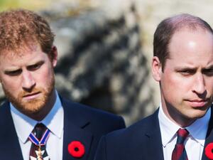 الأمير هاري وشقيقه ويليام