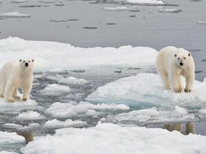 الأمم المتحدة: العالم يتجه نحو تغير مناخي حاد والغازات المسببة للاحتباس الحراري ترتفع لمستوى قياسي