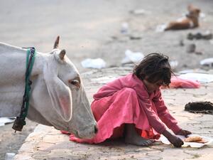 A girl eating on a sidewalk puts her food out of reach from a a cow rummaging for food along a street in Noida on December 7, 2020. Sajjad HUSSAIN / AFP