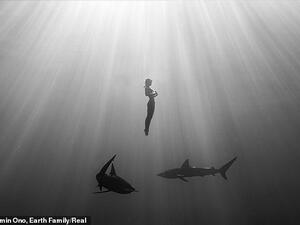 Belgian model Marisa Papen, 28, has shared dreamlike images of her diving naked with sharks, saying she wanted to challenge taboos around both nudity and sharks. (Earth Family/Real)