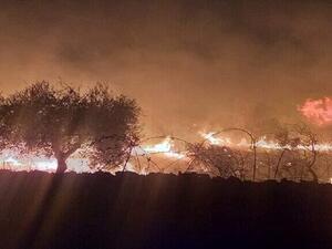 القبض على 39 شخصا نفذوا الحرائق التي شهدتها 3 محافظات سورية