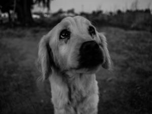 (Shutterstock/ File Photo)