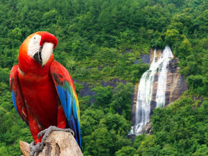 (Shutterstock/ File Photo)