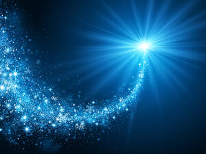 Christmas star  (Shutterstock)	