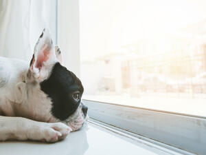 (Shutterstock/ File Photo)