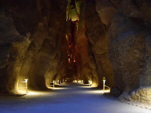 (Shutterstock/ File Photo)