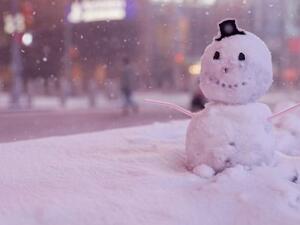  العاصفة قد تكون كبرى العواصف التي تشهدها نيويورك منذ سنوات