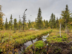 Siemens Gamesa Strengthens Its Partnership With European Energy To Supply Wind Farms in Sweden and Poland