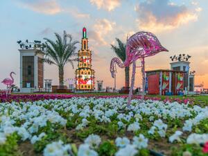  Abu Dhabi's Al Wathba region. (Twitter)