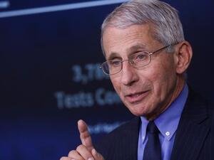 الدكتور أنتوني فاوتشي، كبير خبراء الأمراض المعدية في الولايات المتحدة