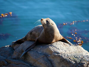 (Shutterstock/ File Photo)