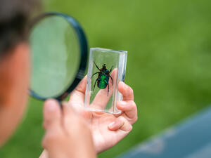 (Shutterstock/ File Photo)