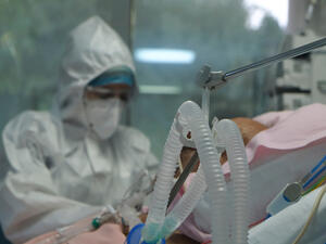 (Shutterstock/ File Photo)