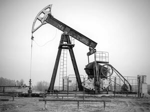 (Shutterstock/ File Photo)