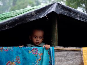 The Rohingya boy  (Shutterstock)	