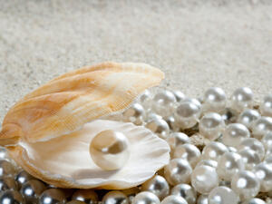 (Shutterstock/ File Photo)