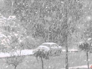  فرق البحث والإنقاذ وشرطة البادية الملكية، عثرت على الجثث، من خلال البحث في المنطقة وتمشيطها.