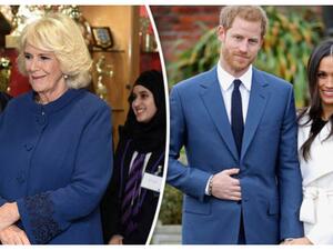 ميغان ماركل