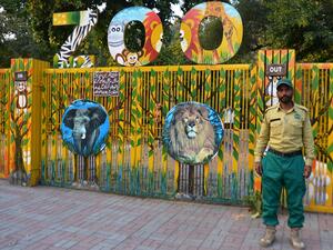 In this picture taken on January 6, 2021, a wildlife ranger stands in front of the entrance to the closed Marghazar Zoo, located in the Margalla Hill National Park in Islamabad. A rundown Pakistan zoo once home to what was dubbed the "world's loneliest elephant" and notorious for housing animals in cramped concrete enclosures has launched an ambitious 7.5 million USD makeover plan. Farooq NAEEM / AFP