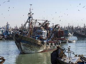 The fight over the western Sahara set to continue 