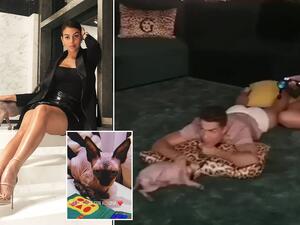 جورجينا رودريغيز والقط بيبي