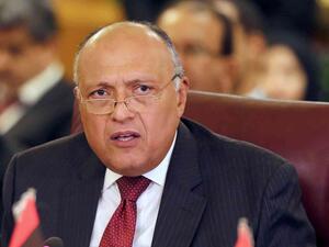 وزير الخارجية المصري سامح شكري