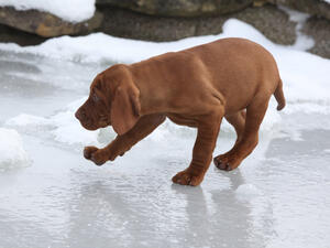 (Shutterstock/ File Photo)