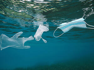 (Shutterstock/ File Photo)