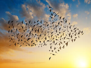 (Shutterstock/ File Photo)