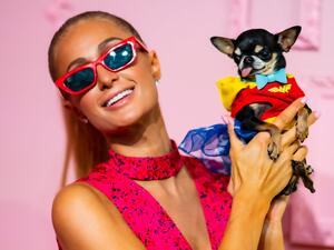 باريس هيلتون