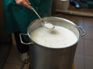 Syrian national Abeer Abbas created her own dairy products business