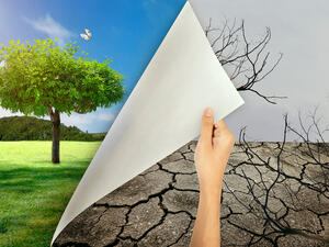 Can Saudi Arabia turn its desert green!