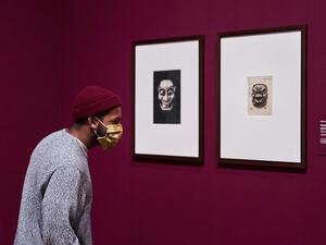 Dutch police arrested a suspect in multiple theft