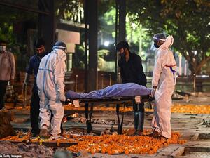 India's Covid death toll could be TEN TIMES higher