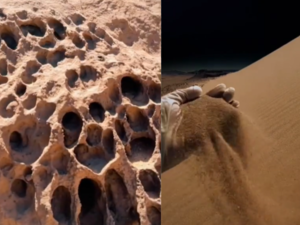 Snaps from TikTok