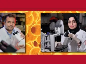 باحثو وايل يستقصون آليات الشيخوخة المبكرة للخلايا الدهنية عند المصابين بالسمنة