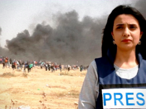 Rawaa Murshed
