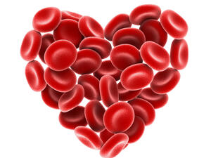 Heart of Red Blood Cells Isolated