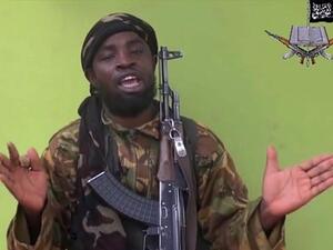 ابو بكر شكوي