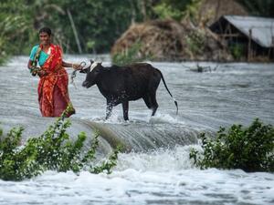 Bangladesh Cyclone Yaas 