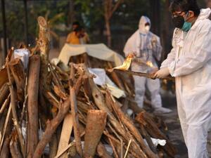 كورونا في الهند