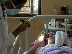 الفطر الأسود