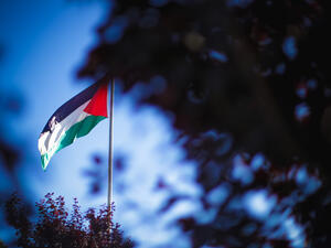Palestinian flag 