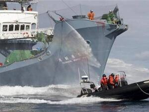 اليابان تحتجز سفينة صيد روسية بعد اصطدامها بأخرى يابانية