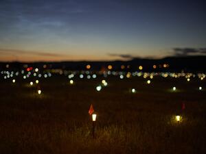 First Nation Councilor speaks about recent discovery of nearly 1,000 unmarked graves of First Nations children