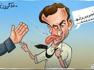 The French president was slapped in the face by a man from the crowd
