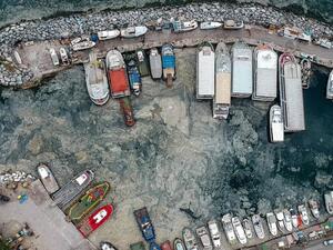 Ports and coastal areas near the Turkish city of Istanbul are being clogged up with a thick gunk known as 'sea snot' that is being created by tiny phytoplankton living in the water